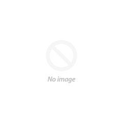 Enterprise-wide mobile intranet